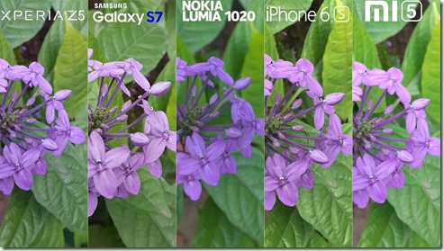 Galaxy-S7-Xperia-Z5-Lumia-1020-iphone-6s-Xiaomi-Mi-5-Camera-Review-Comaprison-2[1]