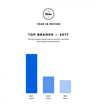 yir2017-infographic_top-brands2x-e1512849427897[1]